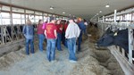 Blood Dairy, 2017 Beef Bash