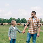 dad and son cattle